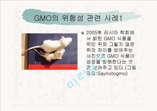 ★추천레포트★GMO(유전자 조작식품)의 정의, 필요성, GMO의 발생 배경, GMO의 찬반 논의, GMO의 위험 사례 및 GMO에 대한 우리의 견해   (10 )